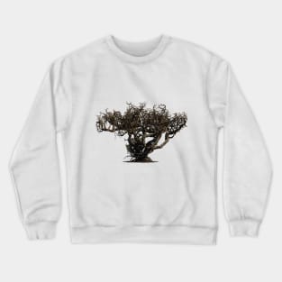 Tree Premium T shirt Design Crewneck Sweatshirt